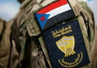 فيديو صادم يهز عدن ضابط انتقالي يغتصب طفل والرأي العام يشتعل