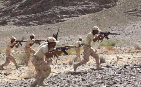 قوات العمالقة الجنوبية تنفذ مناورة عسكرية بالذخيرة الحية وسلاح المسيرات في أبين
