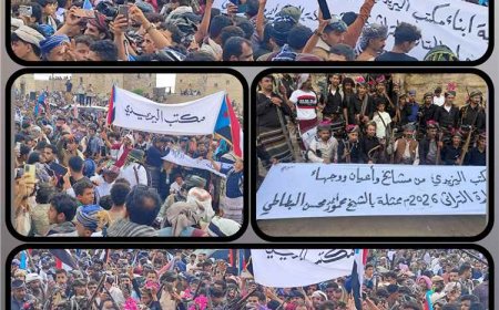 مكتب اليزيدي يشارك بموكب تراثي مهيب ويخطف الأنظار في مهرجان القارة التراثي بيافع رُصُد