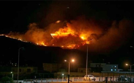 النيران تلتهم غابات جبل ببوش في تونس والدفاع المدني يسيطر على الحريق