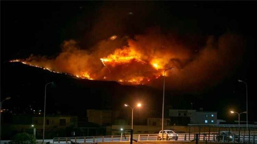النيران تلتهم غابات جبل ببوش في تونس والدفاع المدني يسيطر على الحريق
